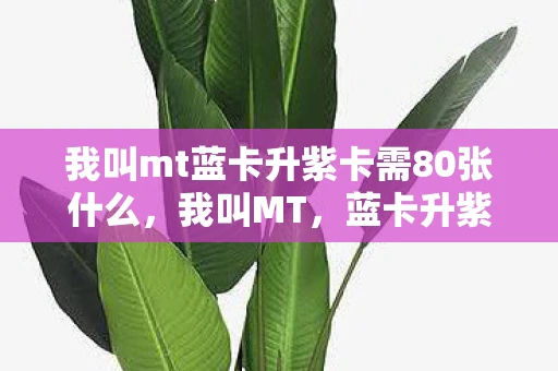 我叫mt蓝卡升紫卡需80张什么，我叫MT，蓝卡升紫卡的奇妙之旅