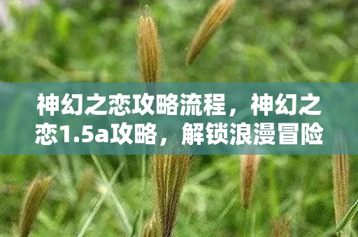 神幻之恋攻略流程，神幻之恋1.5a攻略，解锁浪漫冒险的钥匙