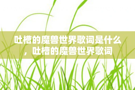 吐槽的魔兽世界歌词是什么，吐槽的魔兽世界歌词