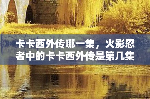 卡卡西外传哪一集，火影忍者中的卡卡西外传是第几集？
