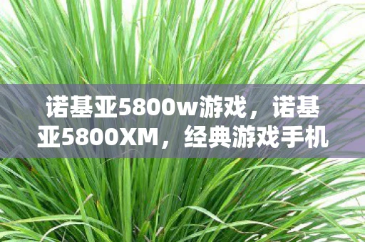 诺基亚5800w游戏,诺基亚5800XM,经典游戏手机回顾 诺基亚5800w游戏,诺基亚5800XM,经典游戏手机回顾