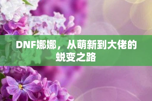 DNF娜娜，从萌新到大佬的蜕变之路