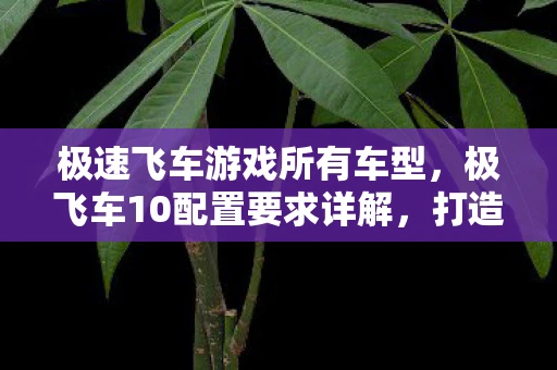 极速飞车游戏所有车型,极飞车10配置要求详解,打造流畅游戏体验 极速飞车游戏所有车型,极飞车10配置要求详解,打造流畅游戏体验