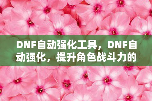 DNF自动强化工具，DNF自动强化，提升角色战斗力的秘密武器