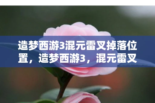 造梦西游3混元雷叉掉落位置，造梦西游3，混元雷叉的神秘力量