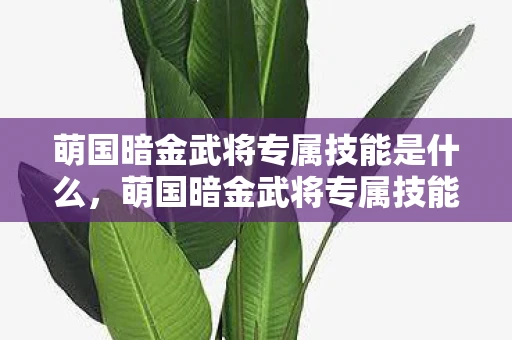 萌国暗金武将专属技能是什么，萌国暗金武将专属技能揭秘