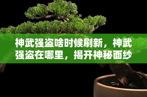 神武强盗啥时候刷新,神武强盗在哪里,揭开神秘面纱 神武强盗啥时候刷新,神武强盗在哪里,揭开神秘面纱