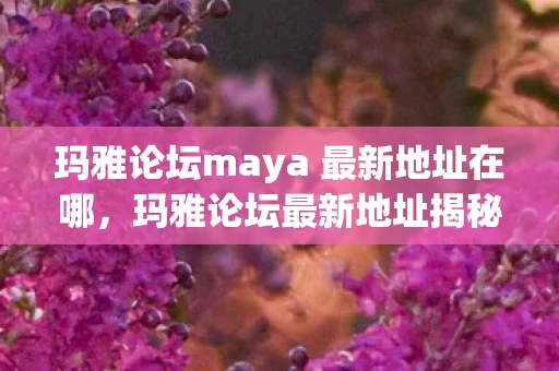 玛雅论坛maya 最新地址在哪，玛雅论坛最新地址揭秘，探索古老文明的智慧与神秘