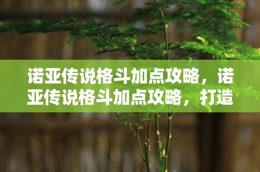 诺亚传说格斗加点攻略，诺亚传说格斗加点攻略，打造最强战士的秘诀