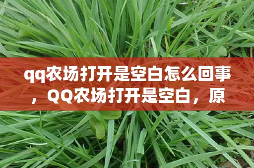 qq农场打开是空白怎么回事，QQ农场打开是空白，原因与解决方案