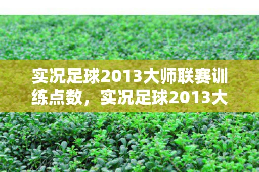 实况足球2013大师联赛训练点数，实况足球2013大师联赛训练全解析