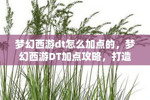 梦幻西游dt怎么加点的,梦幻西游DT加点攻略,打造最强输出角色 梦幻西游dt怎么加点的,梦幻西游DT加点攻略,打造最强输出角色