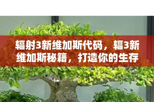 辐射3新维加斯代码,辐3新维加斯秘籍,打造你的生存之旅 辐射3新维加斯代码,辐3新维加斯秘籍,打造你的生存之旅