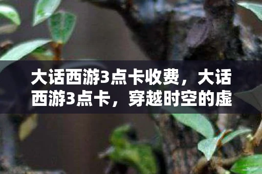大话西游3点卡收费,大话西游3点卡,穿越时空的虚拟货币 大话西游3点卡收费,大话西游3点卡,穿越时空的虚拟货币