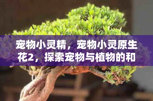 宠物小灵精,宠物小灵原生花2,探索宠物与植物的和谐共生 宠物小灵精,宠物小灵原生花2,探索宠物与植物的和谐共生