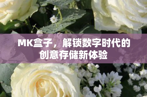 MK盒子,解锁数字时代的创意存储新体验 MK盒子,解锁数字时代的创意存储新体验