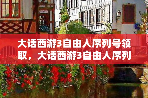 大话西游3自由人序列号领取，大话西游3自由人序列号，解锁你的西游之旅