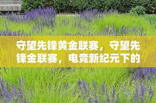 守望先锋黄金联赛，守望先锋金联赛，电竞新纪元下的荣耀之战