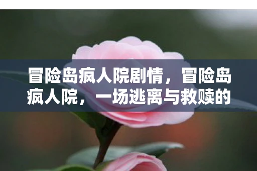 冒险岛疯人院剧情,冒险岛疯人院,一场逃离与救赎的奇幻之旅 冒险岛疯人院剧情,冒险岛疯人院,一场逃离与救赎的奇幻之旅