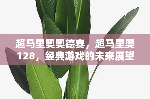 超马里奥奥德赛，超马里奥128，经典游戏的未来展望