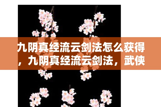 九阴真经流云剑法怎么获得，九阴真经流云剑法，武侠世界中的诗意剑舞