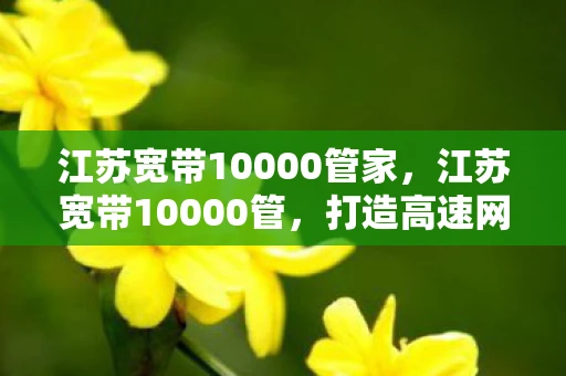 江苏宽带10000管家,江苏宽带10000管,打造高速网络,服务千家万户 江苏宽带10000管家,江苏宽带10000管,打造高速网络,服务千家万户