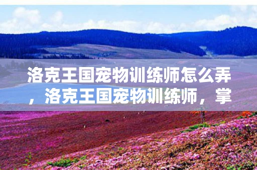 洛克王国宠物训练师怎么弄，洛克王国宠物训练师，掌握魔法与智慧的冒险之旅