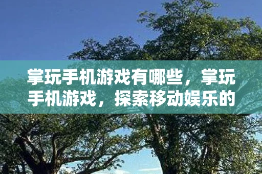 掌玩手机游戏有哪些，掌玩手机游戏，探索移动娱乐的新纪元