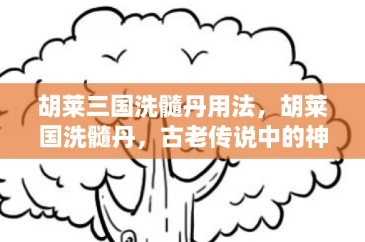 胡莱三国洗髓丹用法，胡莱国洗髓丹，古老传说中的神秘仙丹