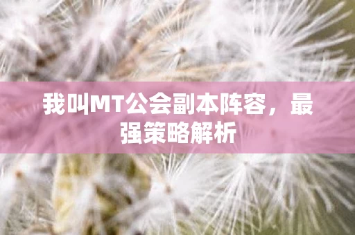 我叫MT公会副本阵容图片