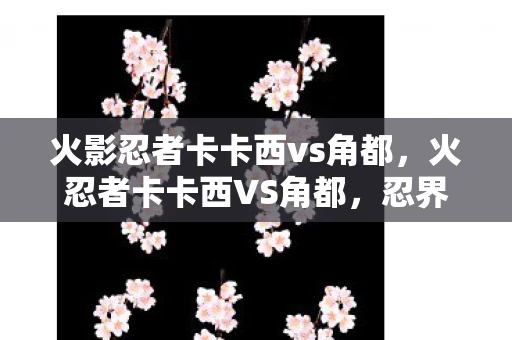 火影忍者卡卡西vs角都,火忍者卡卡西VS角都,忍界巅峰的对决 火影忍者卡卡西vs角都,火忍者卡卡西VS角都,忍界巅峰的对决