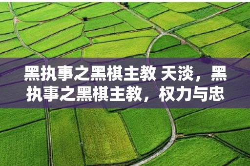 黑执事之黑棋主教 天淡,黑执事之黑棋主教,权力与忠诚的交响曲 黑执事之黑棋主教 天淡,黑执事之黑棋主教,权力与忠诚的交响曲