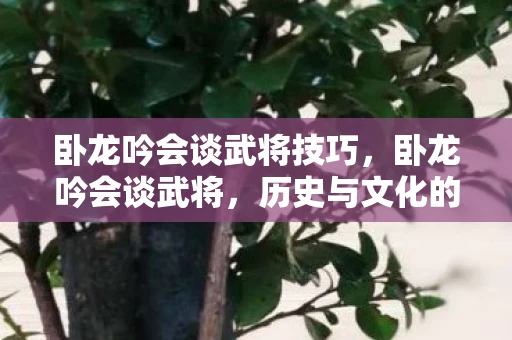 卧龙吟会谈武将技巧，卧龙吟会谈武将，历史与文化的交汇