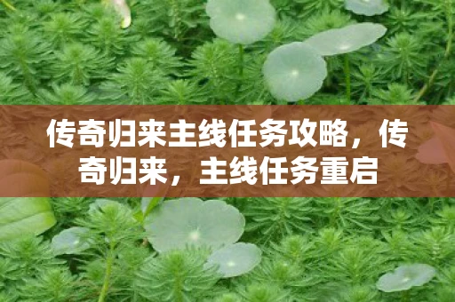 传奇归来主线任务攻略，传奇归来，主线任务重启