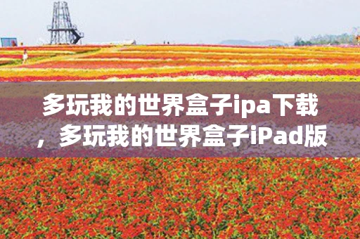 多玩我的世界盒子ipa下载，多玩我的世界盒子iPad版，打造你的专属方块世界