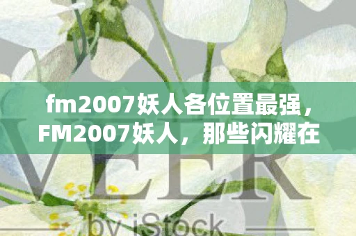 fm2007妖人各位置最强，FM2007妖人，那些闪耀在绿茵场上的璀璨新星