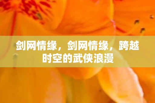 剑网情缘，剑网情缘，跨越时空的武侠浪漫