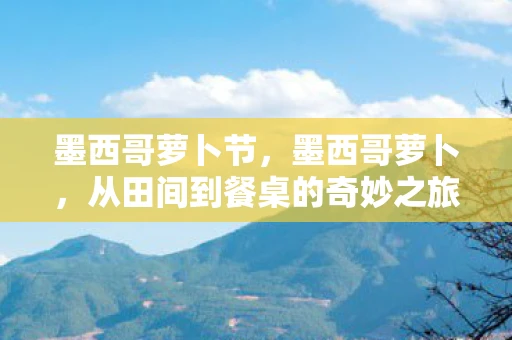 墨西哥萝卜节，墨西哥萝卜，从田间到餐桌的奇妙之旅