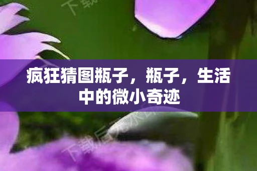 疯狂猜图瓶子，瓶子，生活中的微小奇迹