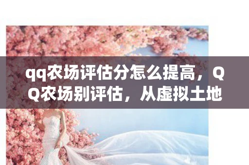 qq农场评估分怎么提高，QQ农场别评估，从虚拟土地到社交互动的演变