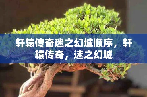 轩辕传奇迷之幻城顺序，轩辕传奇，迷之幻城