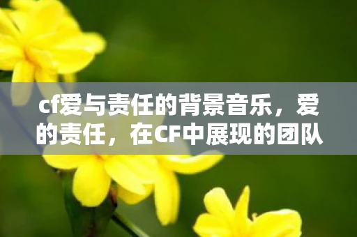 cf爱与责任的背景音乐，爱的责任，在CF中展现的团队精神