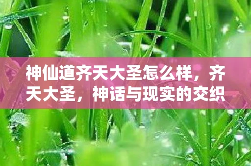 神仙道齐天大圣怎么样,齐天大圣,神话与现实的交织 神仙道齐天大圣怎么样,齐天大圣,神话与现实的交织