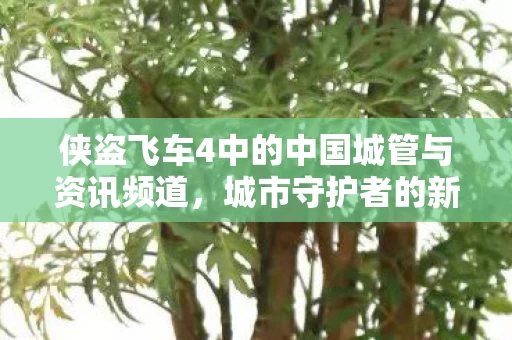 侠盗飞车4中的中国城管与资讯频道图片