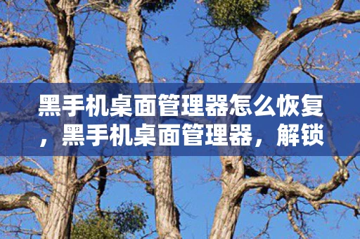 黑手机桌面管理器怎么恢复，黑手机桌面管理器，解锁手机管理的秘密