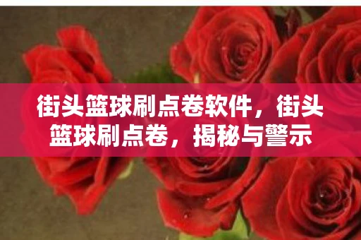 街头篮球刷点卷软件,街头篮球刷点卷,揭秘与警示 街头篮球刷点卷软件,街头篮球刷点卷,揭秘与警示