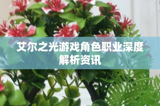 艾尔之光游戏角色职业深度解析资讯图片