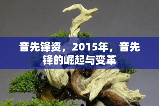 音先锋资,2015年,音先锋的崛起与变革 音先锋资,2015年,音先锋的崛起与变革