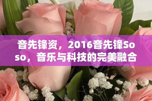 音先锋资，2016音先锋Soso，音乐与科技的完美融合