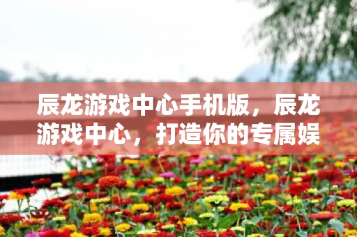 辰龙游戏中心手机版,辰龙游戏中心,打造你的专属娱乐天地 辰龙游戏中心手机版,辰龙游戏中心,打造你的专属娱乐天地